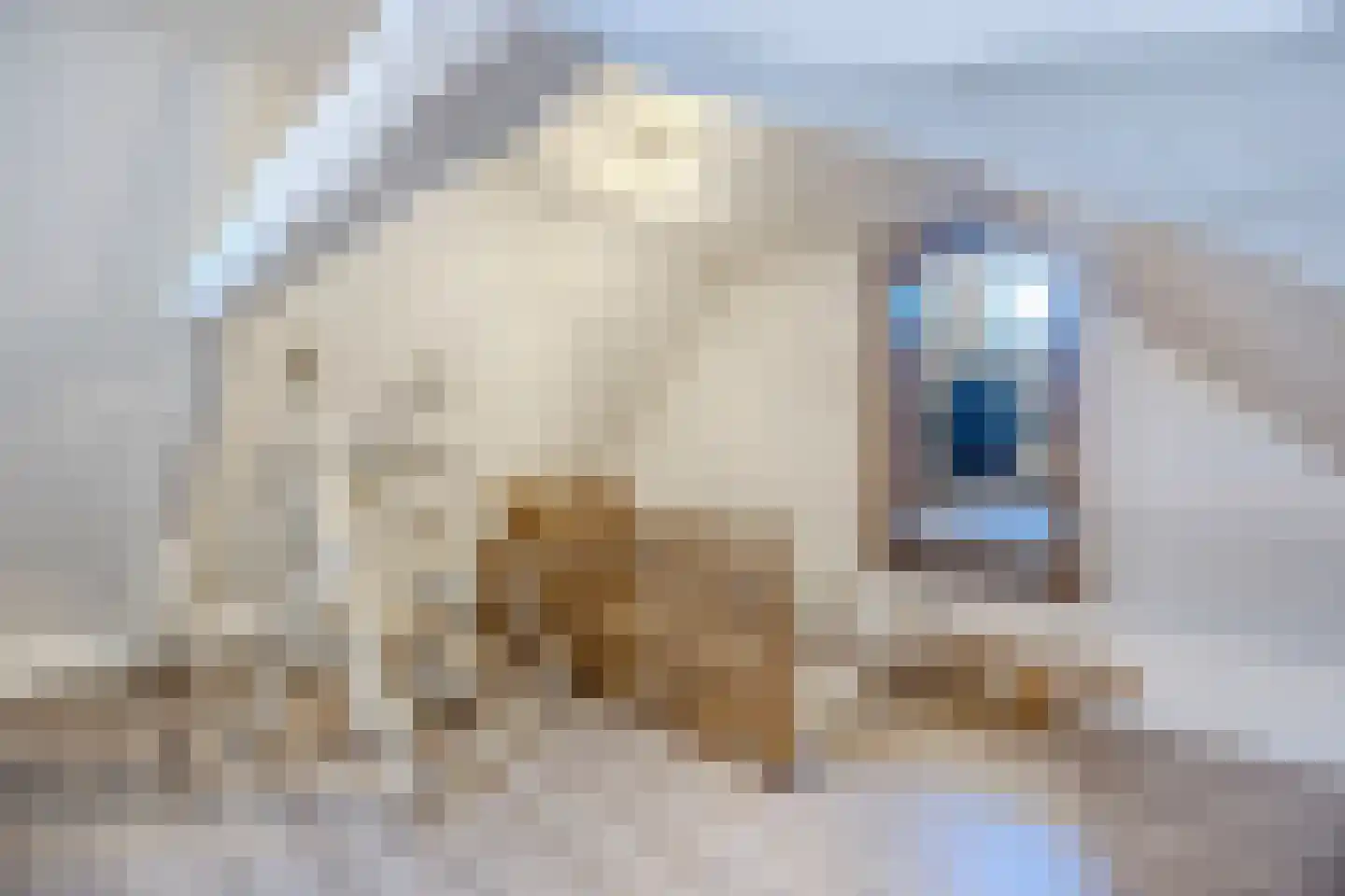 Prof van Ginnekenstraat 10 Oudenbosch thumbnail 92