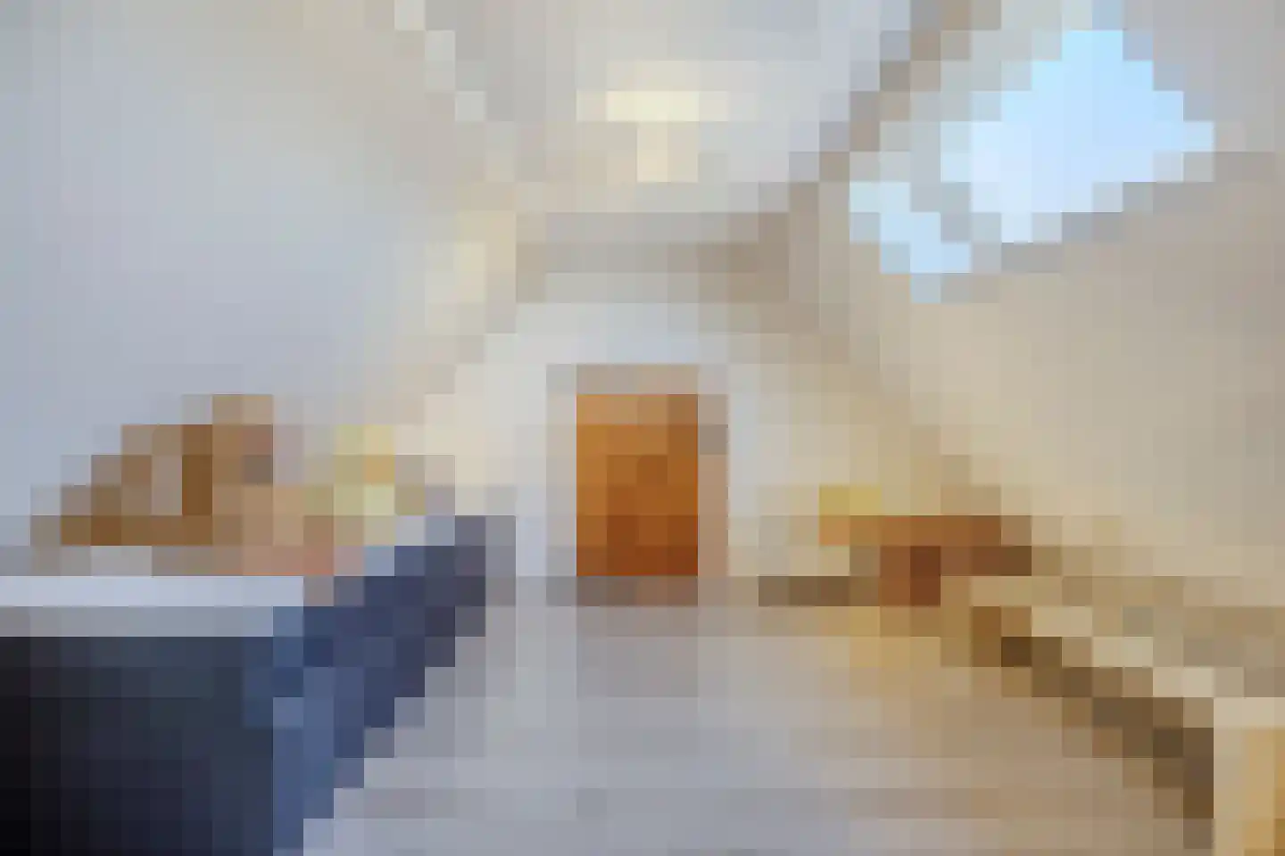 Prof van Ginnekenstraat 10 Oudenbosch thumbnail 94