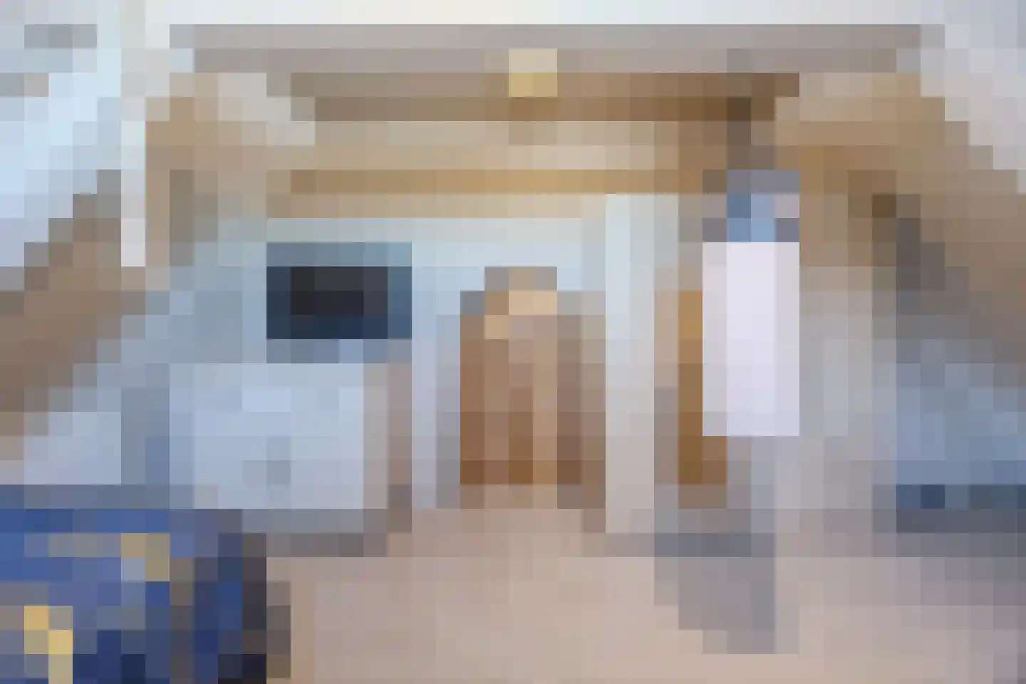 Prof van Ginnekenstraat 10 Oudenbosch thumbnail 98