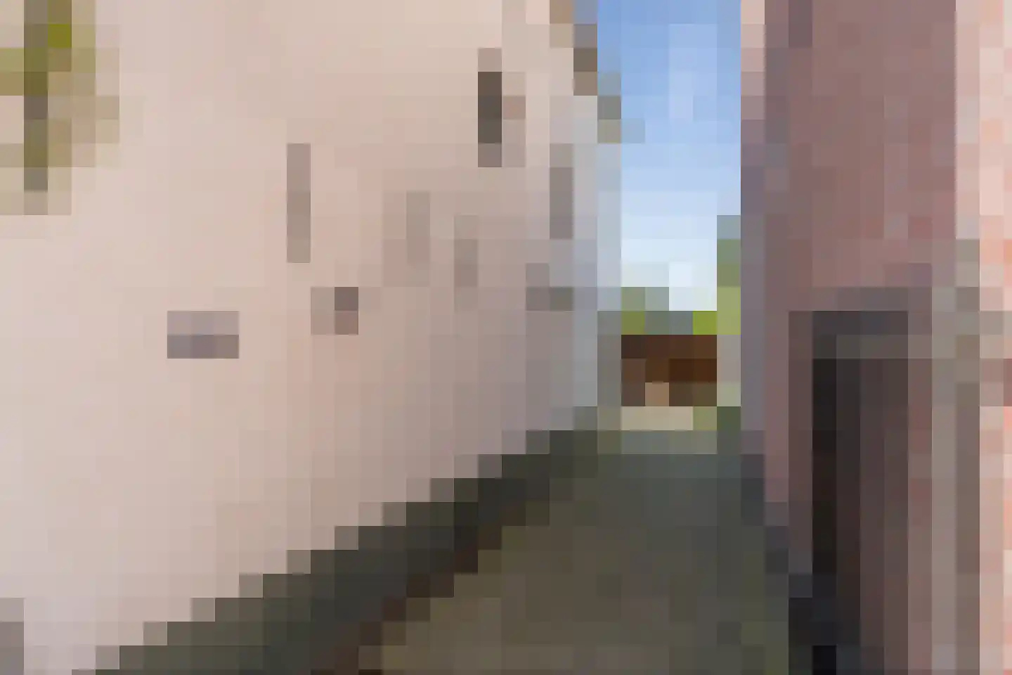 Prof van Ginnekenstraat 13 Oudenbosch thumbnail 22
