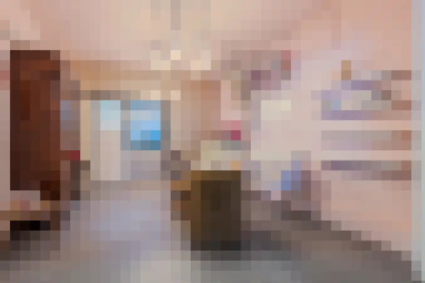Prof van Ginnekenstraat 13 Oudenbosch thumbnail 26
