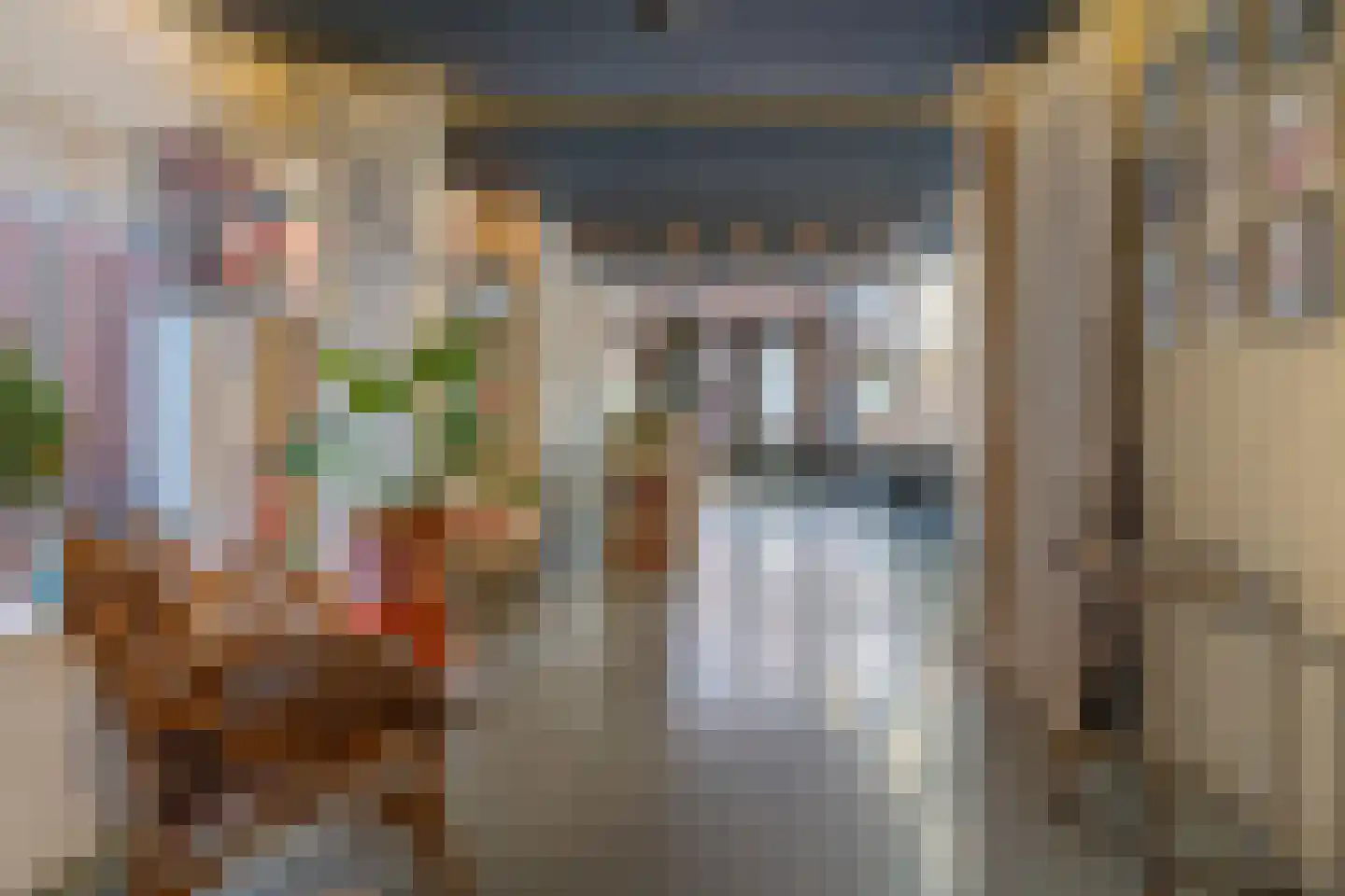 Prof van Ginnekenstraat 13 Oudenbosch thumbnail 29