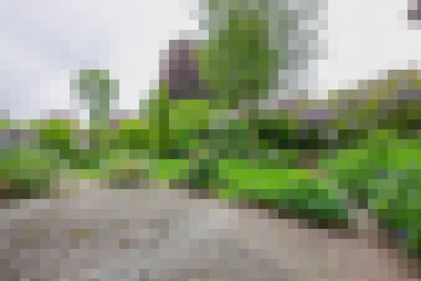 Prof. van Itersonstraat 218 Heerlen thumbnail 24