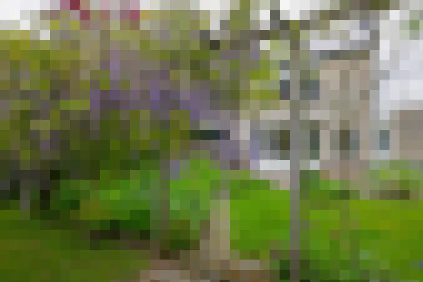 Prof. van Itersonstraat 218 Heerlen thumbnail 25