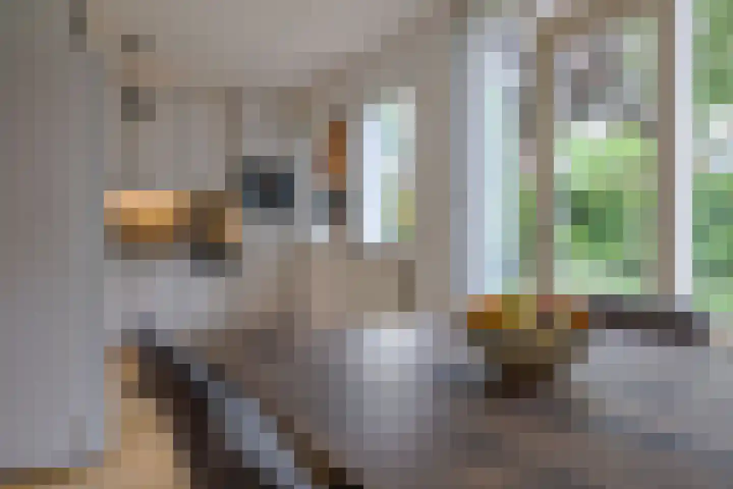 Prof. van Itersonstraat 218 Heerlen thumbnail 7