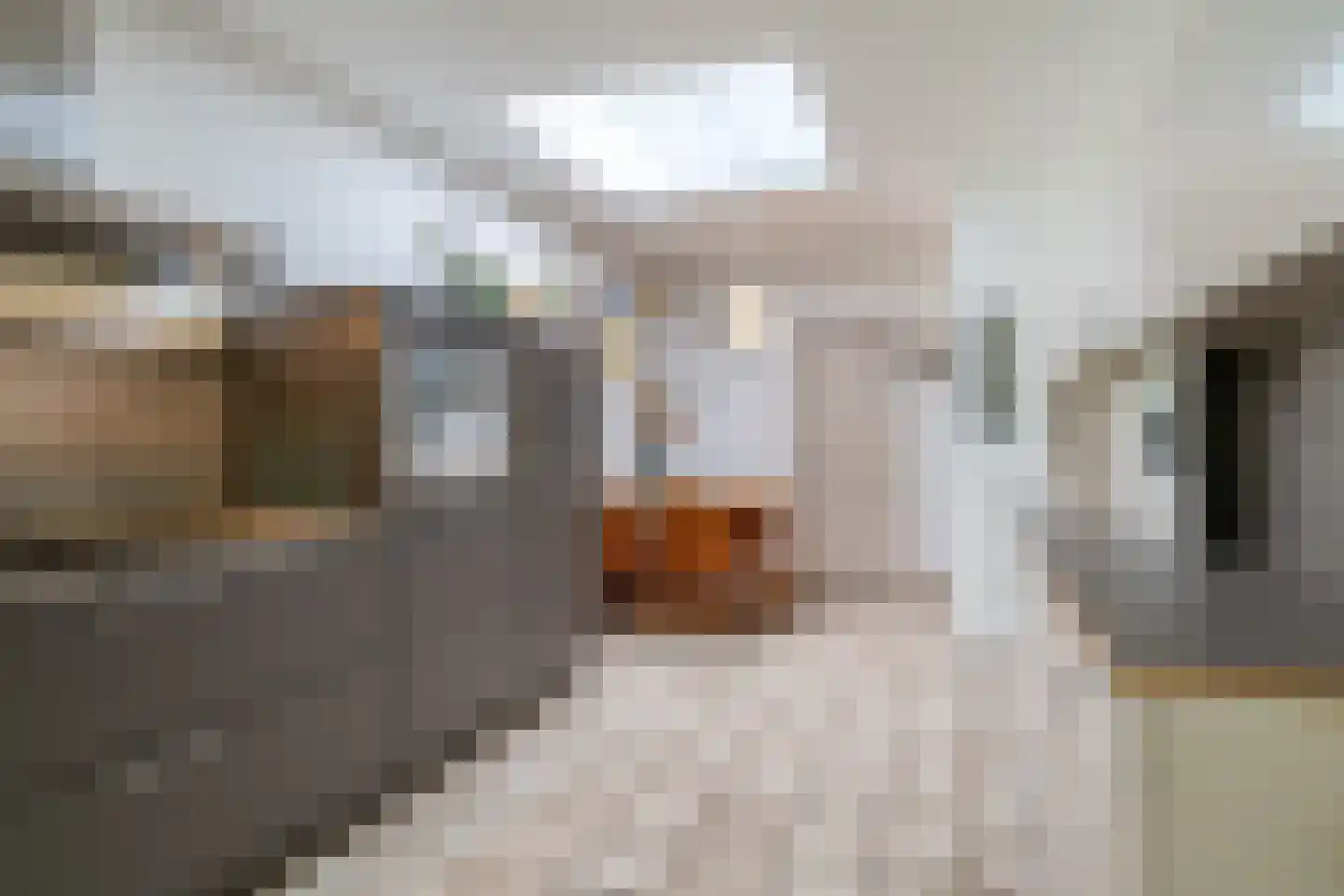 Prof. van Itersonstraat 72 Heerlen thumbnail 10