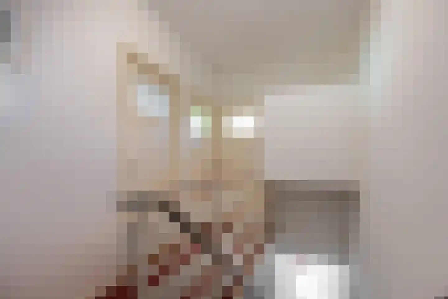 Prof. van Itersonstraat 72 Heerlen thumbnail 19