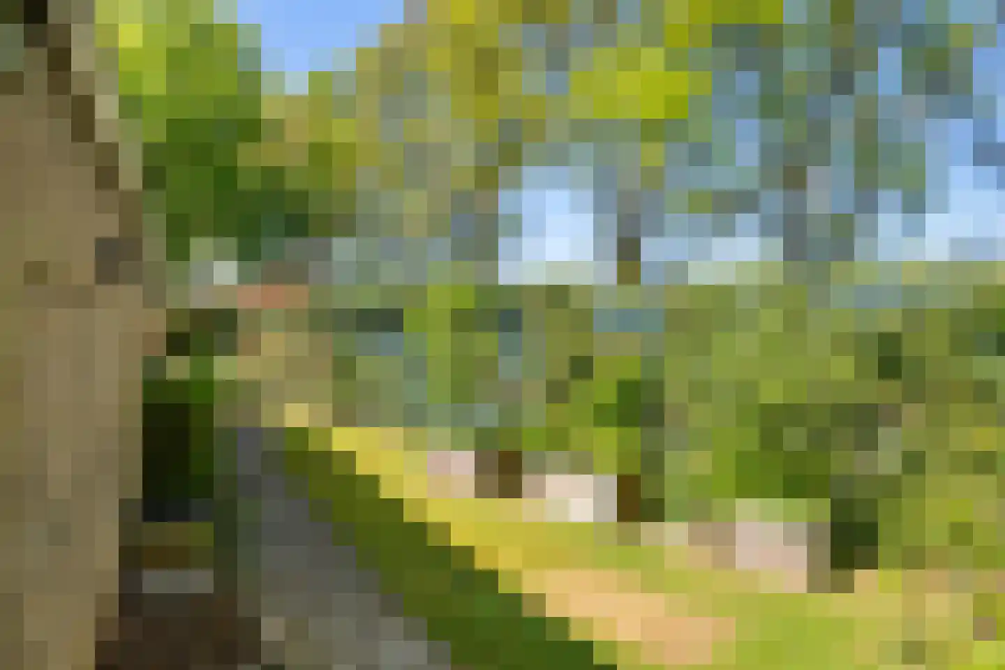 Prof. van Itersonstraat 72 Heerlen thumbnail 27