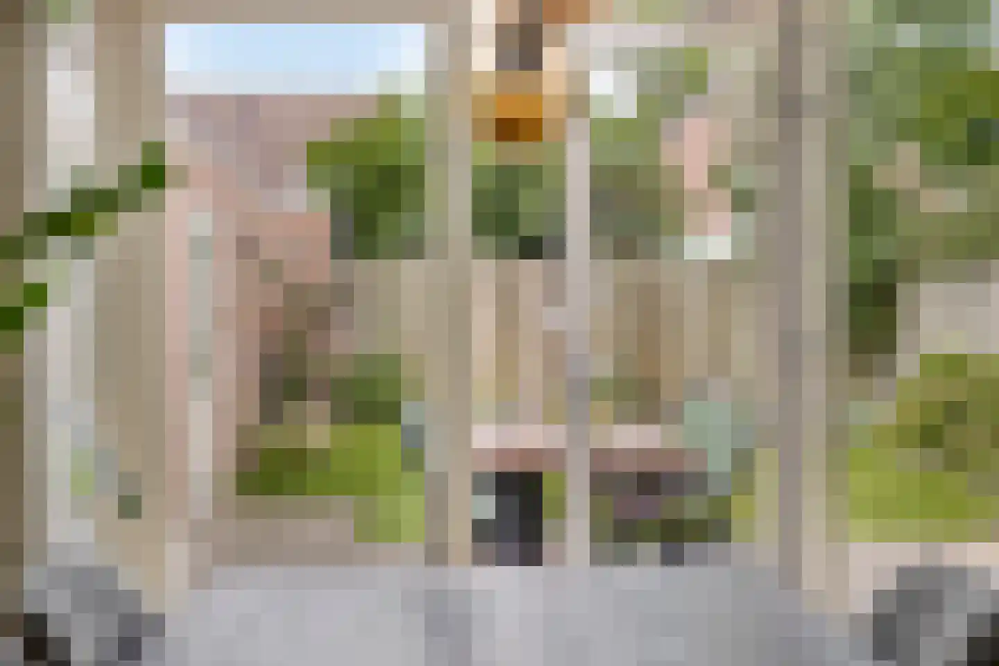 Prof. van Oijenstraat 10 Helden thumbnail 14