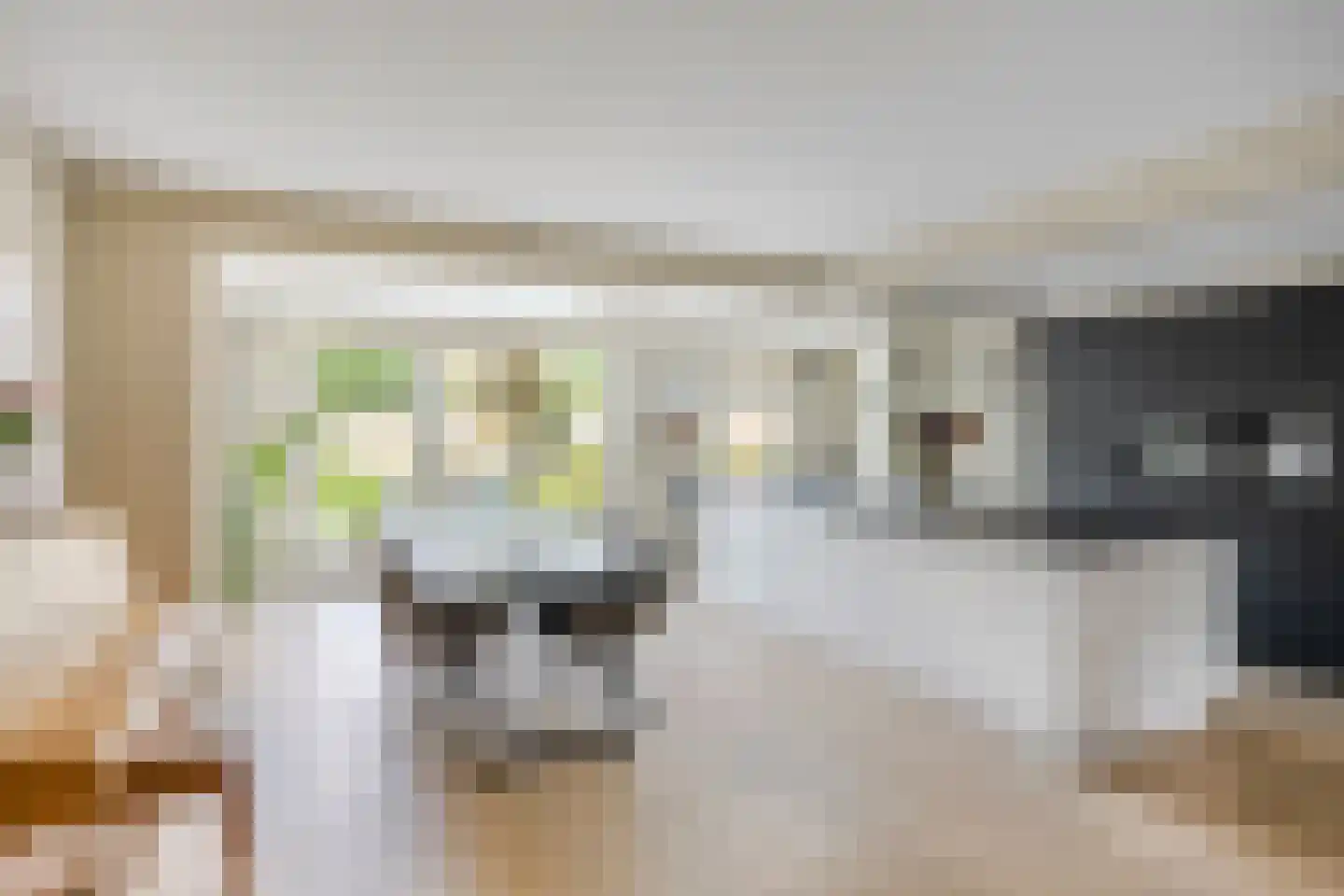Prof. van Oijenstraat 10 Helden thumbnail 16