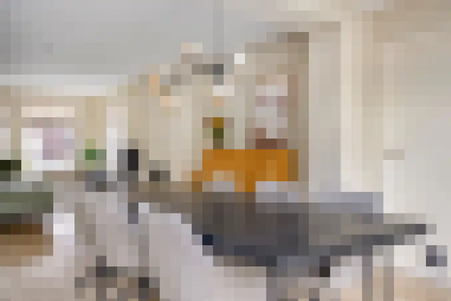 Prof. van Oijenstraat 10 Helden thumbnail 18