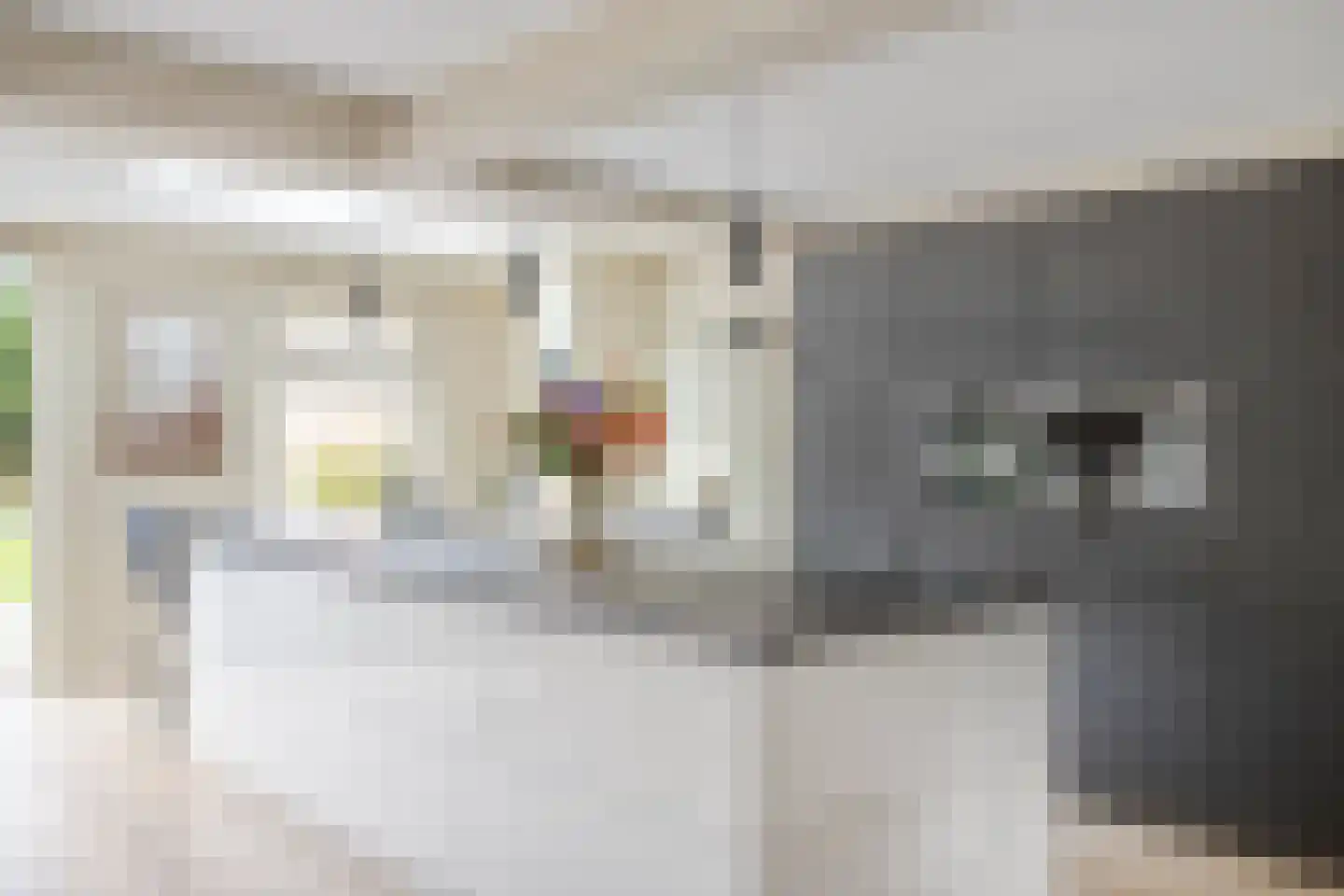 Prof. van Oijenstraat 10 Helden thumbnail 20