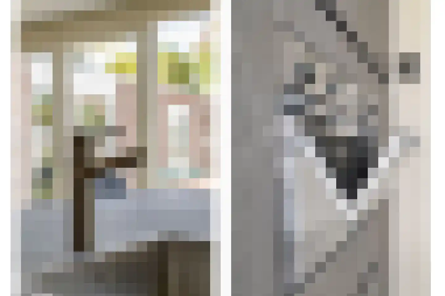 Prof. van Oijenstraat 10 Helden thumbnail 26