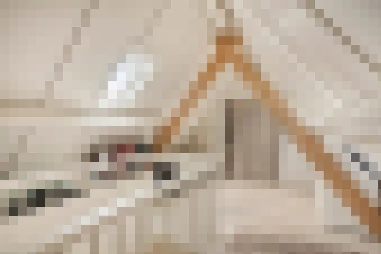 Prof. van Oijenstraat 10 Helden thumbnail 36