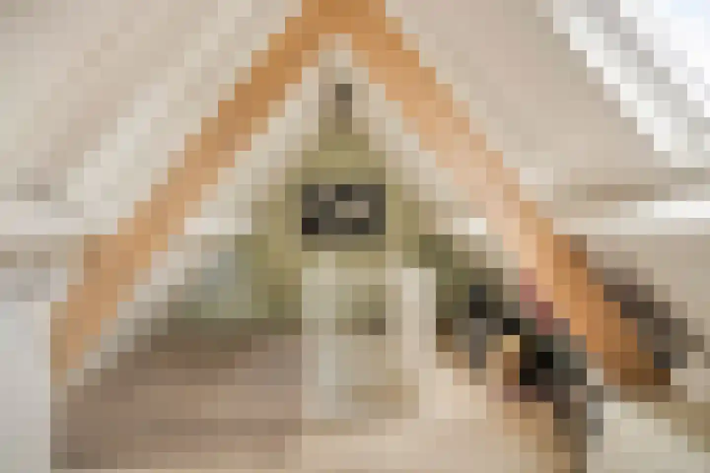 Prof. van Oijenstraat 10 Helden thumbnail 37