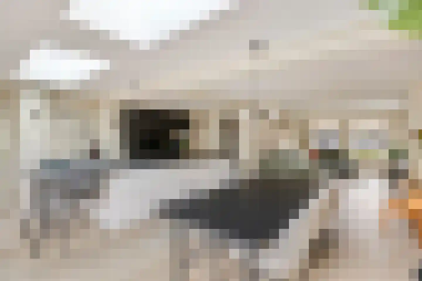Prof. van Oijenstraat 10 Helden thumbnail 4