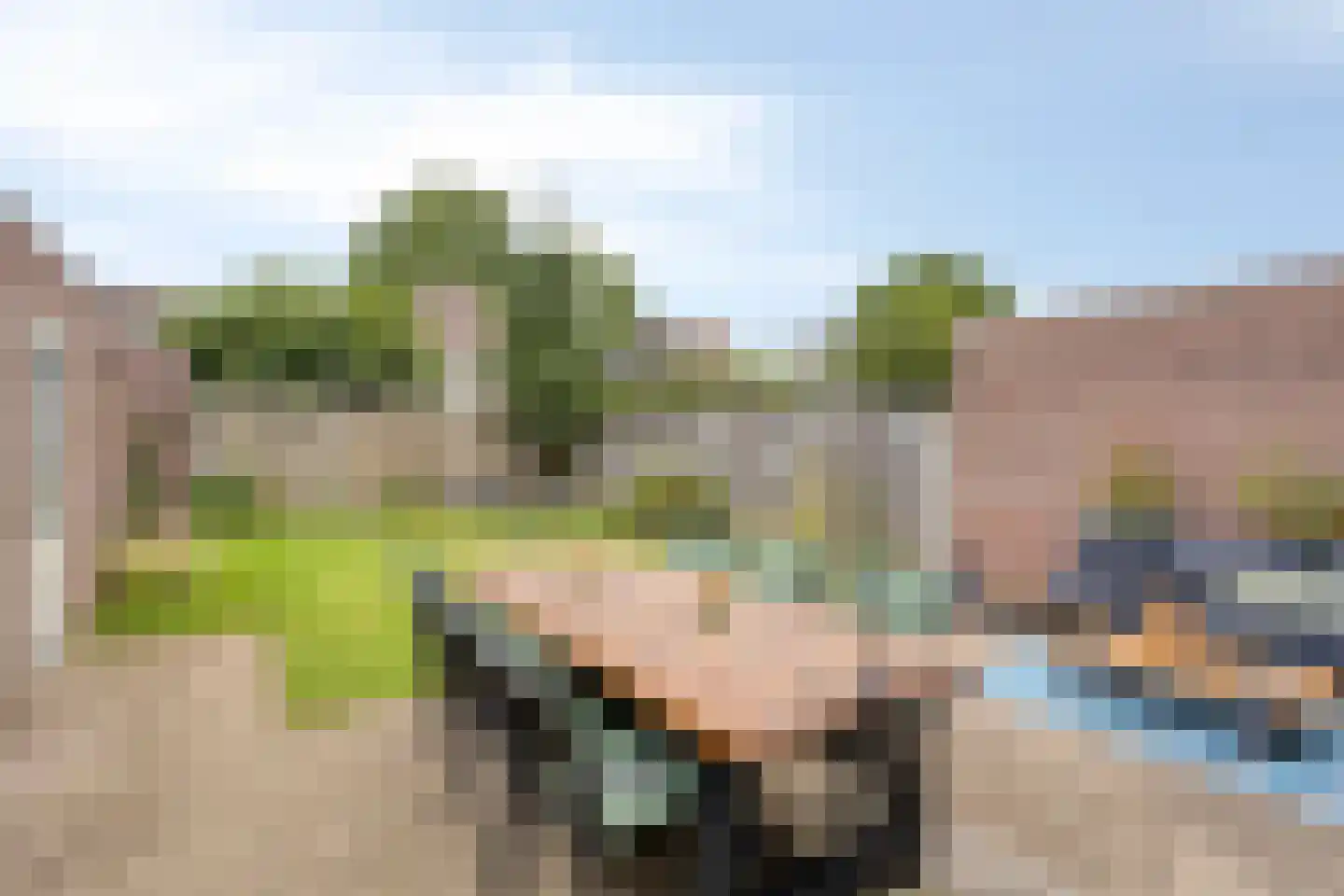 Prof. van Oijenstraat 10 Helden thumbnail 40
