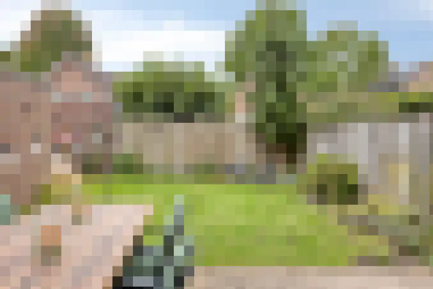 Prof. van Oijenstraat 10 Helden thumbnail 41