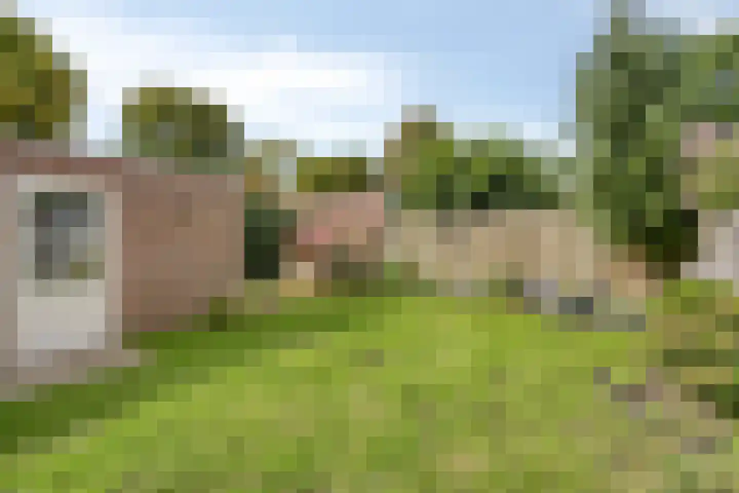 Prof. van Oijenstraat 10 Helden thumbnail 44