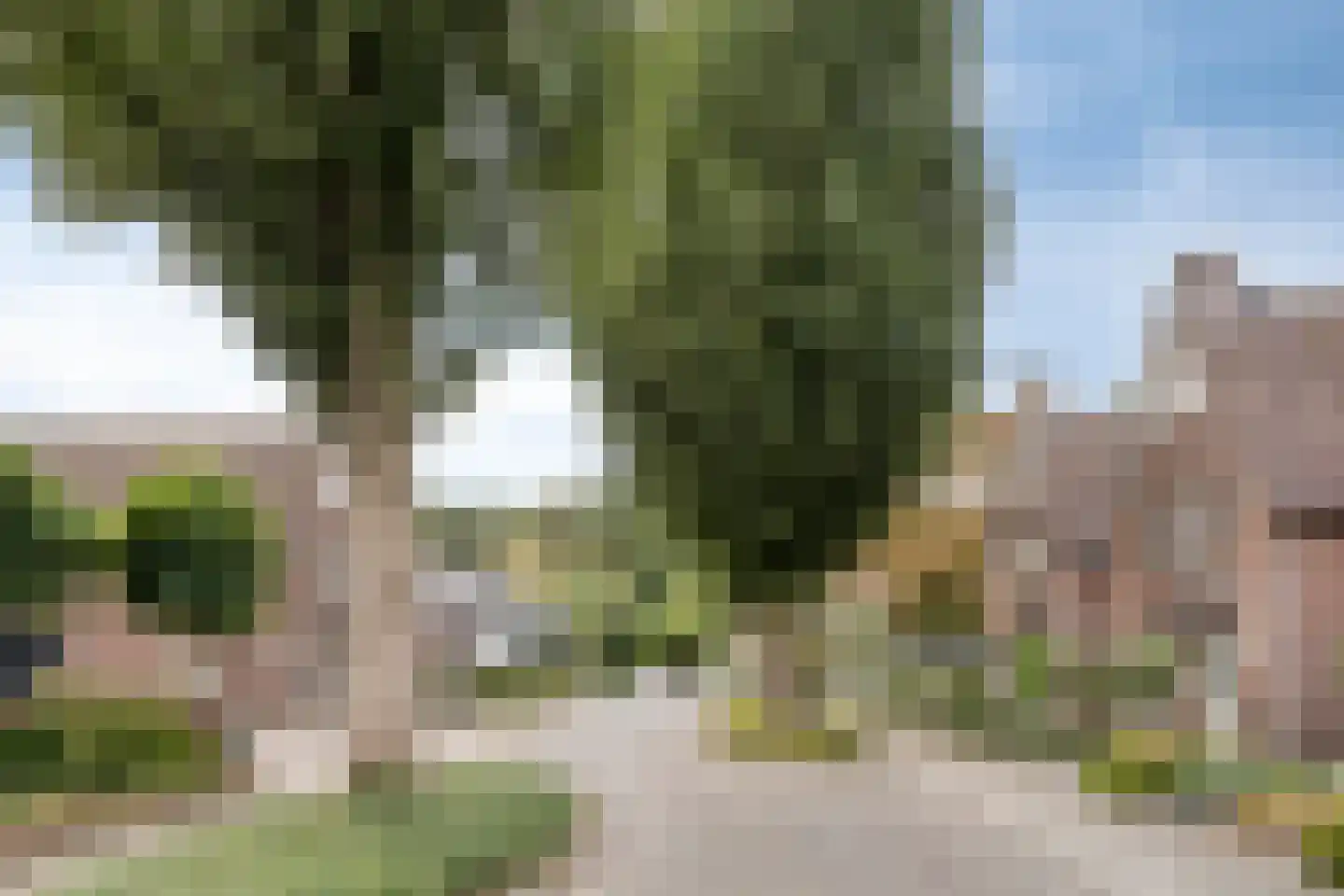 Prof. van Oijenstraat 10 Helden thumbnail 47