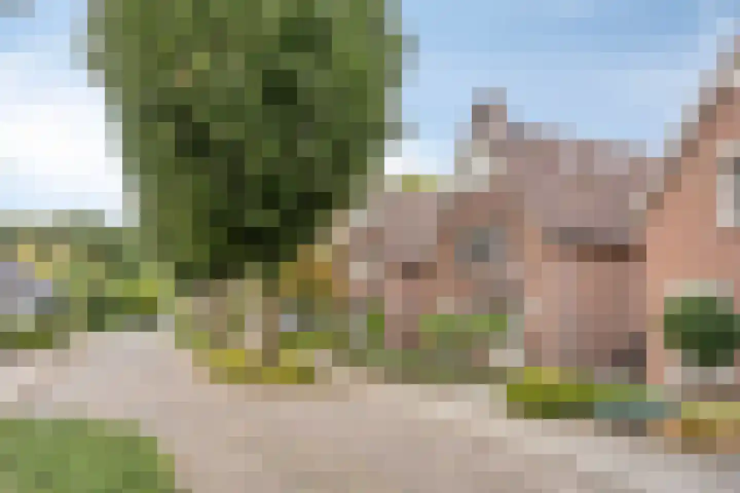 Prof. van Oijenstraat 10 Helden thumbnail 48