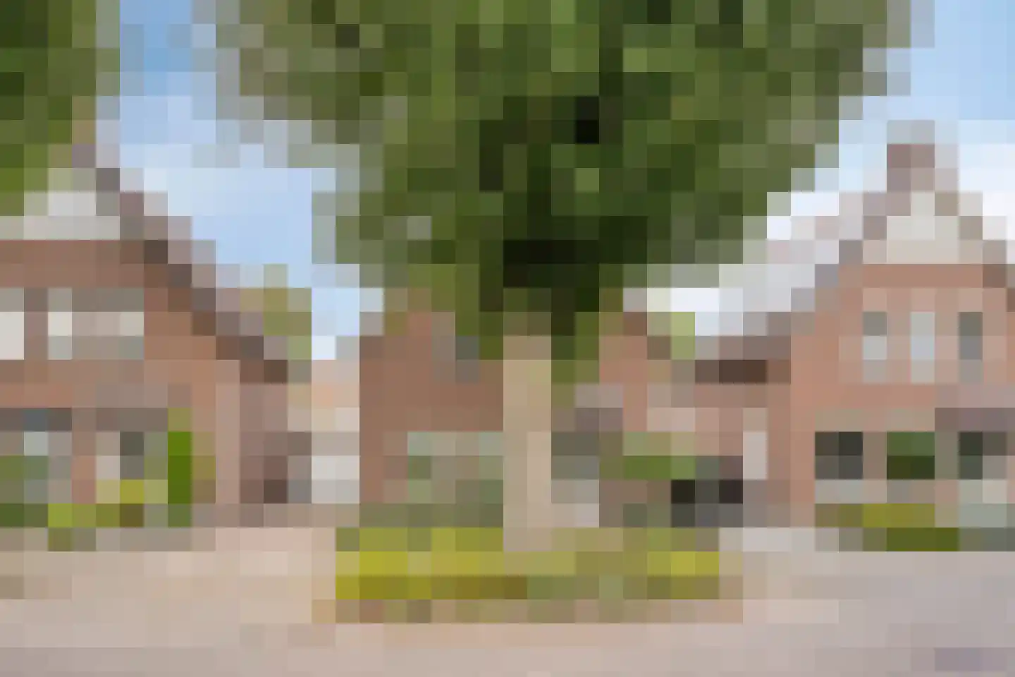 Prof. van Oijenstraat 10 Helden thumbnail 49
