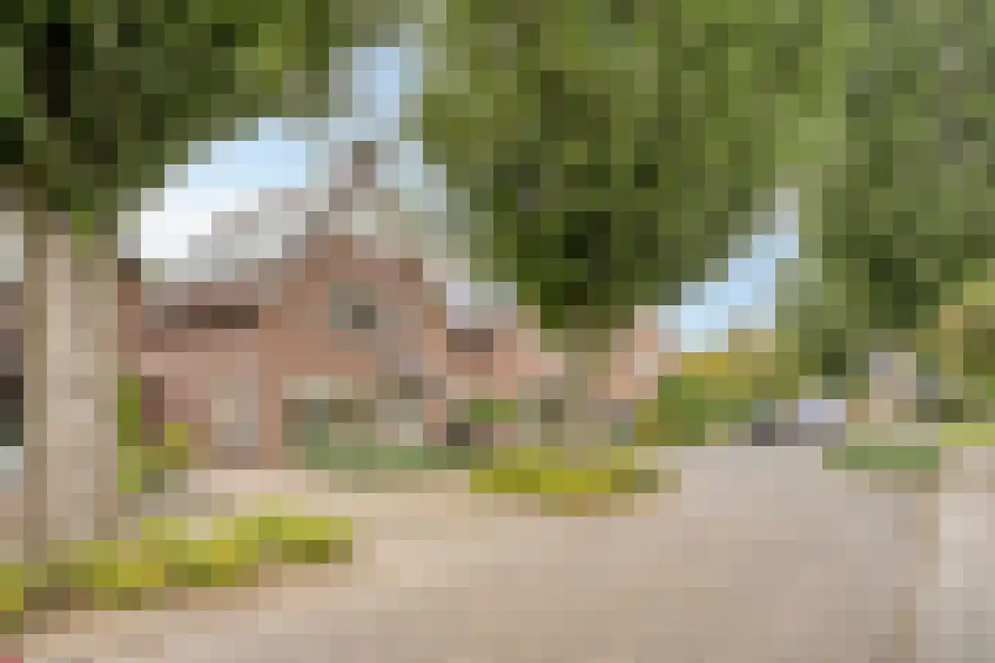 Prof. van Oijenstraat 10 Helden thumbnail 50