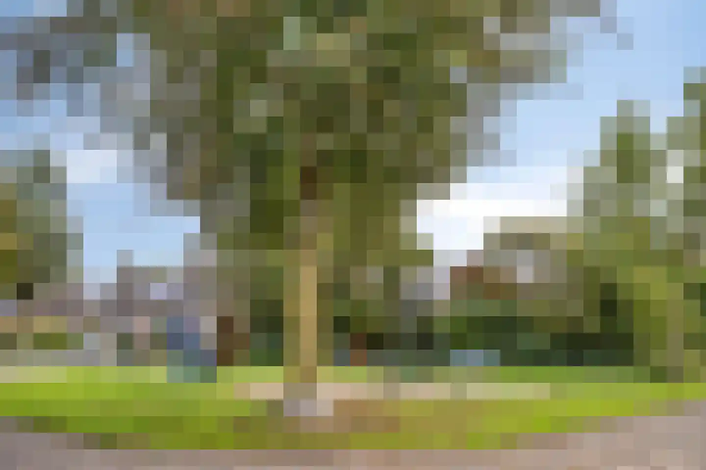 Prof. van Oijenstraat 10 Helden thumbnail 51