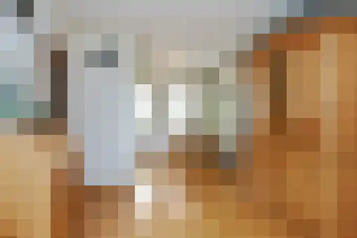 Prof. van Oijenstraat 15 Helden thumbnail 10