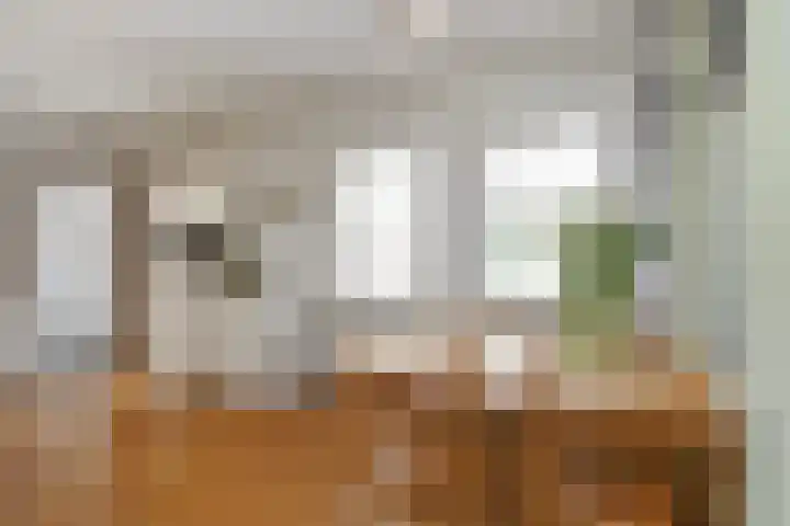 Prof. van Oijenstraat 15 Helden thumbnail 11