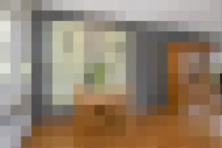 Prof. van Oijenstraat 15 Helden thumbnail 12