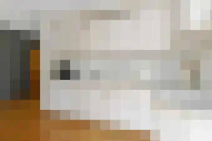 Prof. van Oijenstraat 15 Helden thumbnail 13