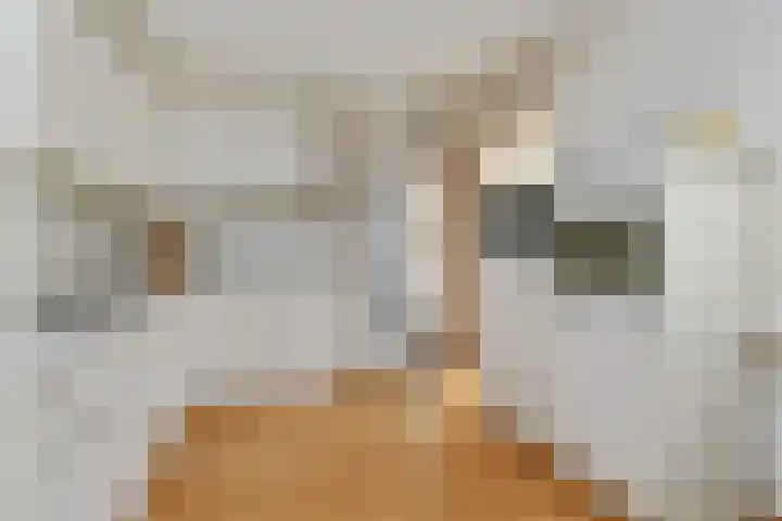 Prof. van Oijenstraat 15 Helden thumbnail 14