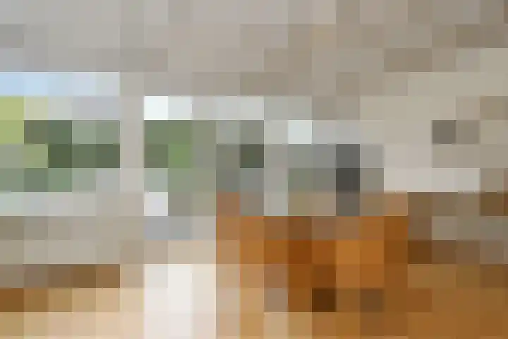Prof. van Oijenstraat 15 Helden thumbnail 15