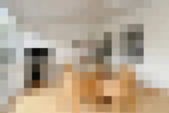 Prof. van Oijenstraat 15 Helden thumbnail 16