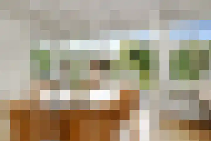 Prof. van Oijenstraat 15 Helden thumbnail 17