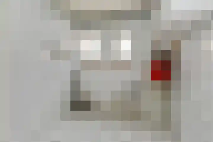 Prof. van Oijenstraat 15 Helden thumbnail 18