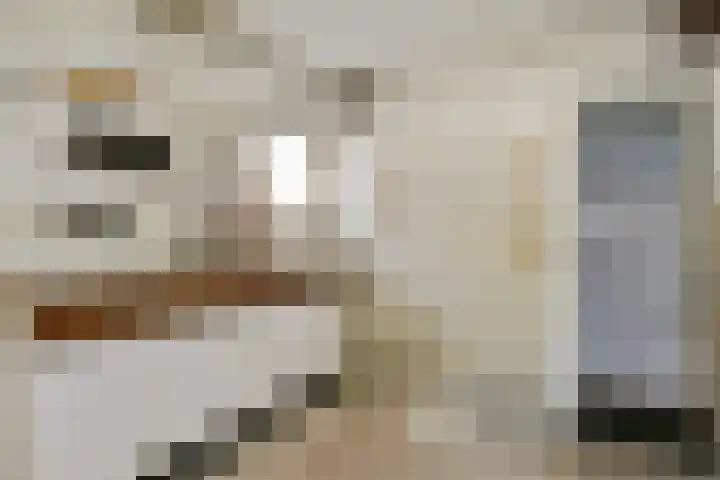 Prof. van Oijenstraat 15 Helden thumbnail 19