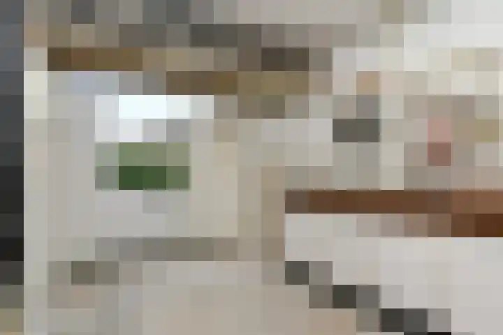Prof. van Oijenstraat 15 Helden thumbnail 20