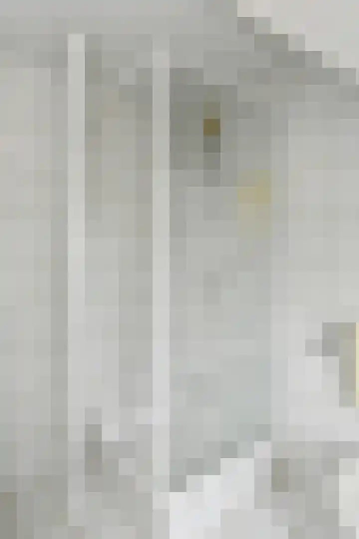 Prof. van Oijenstraat 15 Helden thumbnail 23