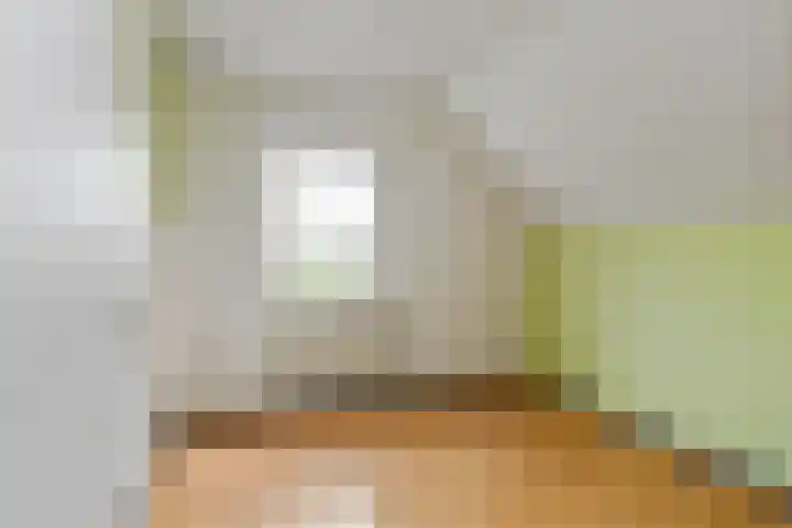 Prof. van Oijenstraat 15 Helden thumbnail 26