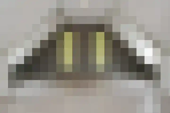 Prof. van Oijenstraat 15 Helden thumbnail 27