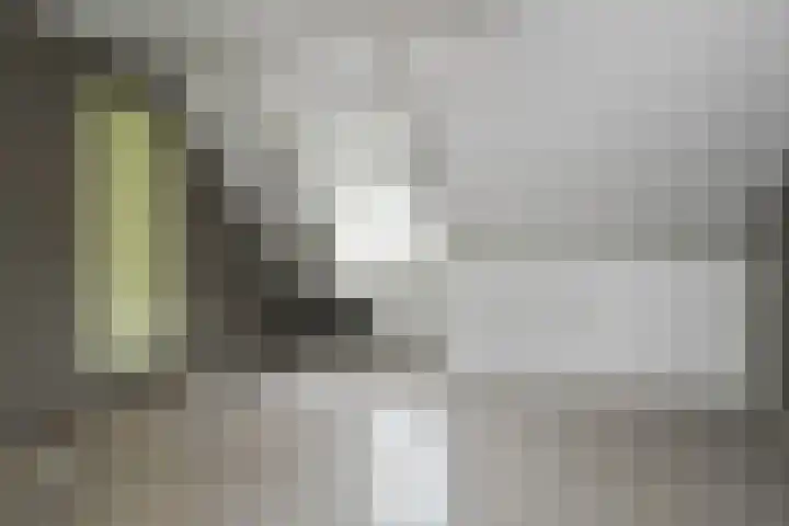 Prof. van Oijenstraat 15 Helden thumbnail 28