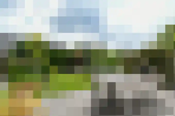 Prof. van Oijenstraat 15 Helden thumbnail 30
