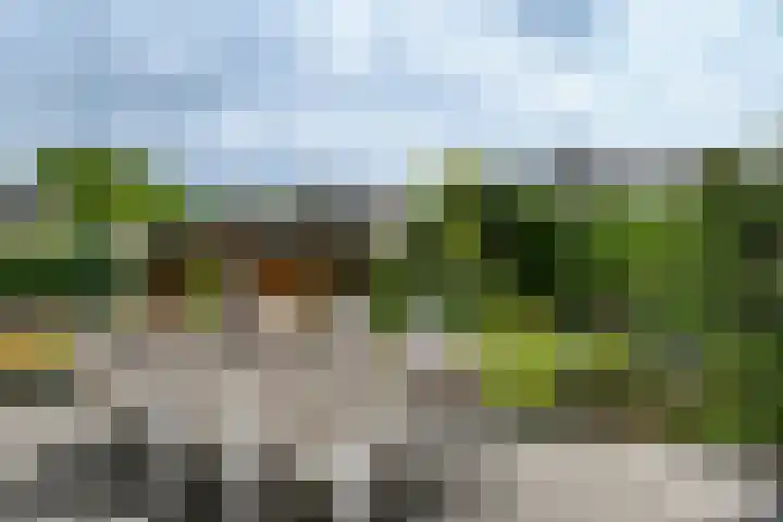 Prof. van Oijenstraat 15 Helden thumbnail 31