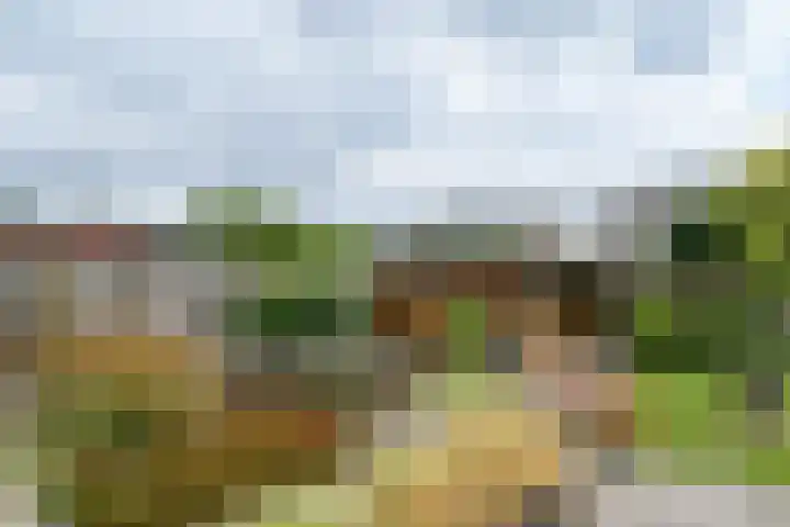 Prof. van Oijenstraat 15 Helden thumbnail 32
