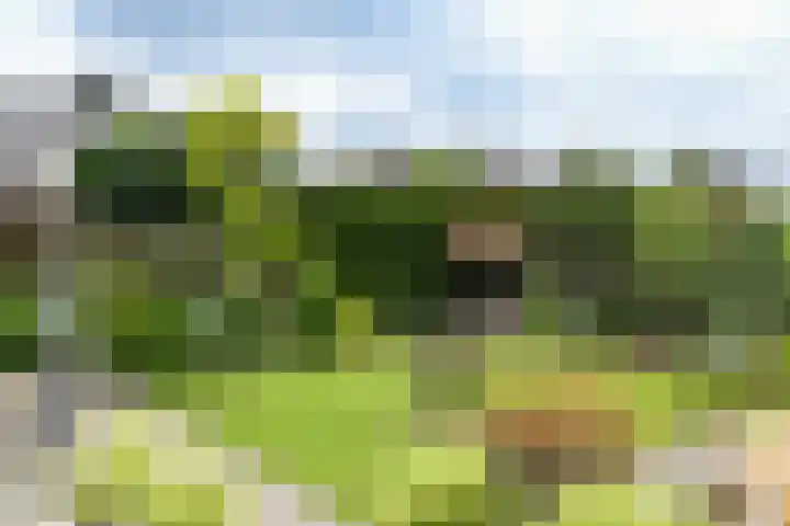 Prof. van Oijenstraat 15 Helden thumbnail 33