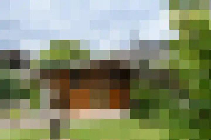 Prof. van Oijenstraat 15 Helden thumbnail 34