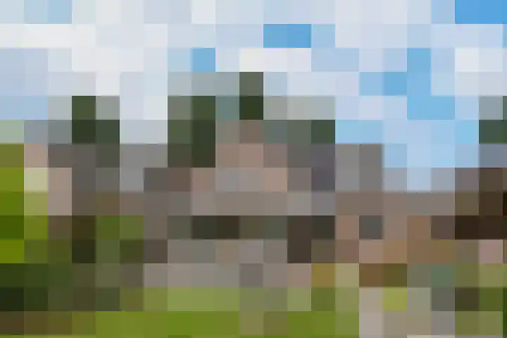 Prof. van Oijenstraat 15 Helden thumbnail 35
