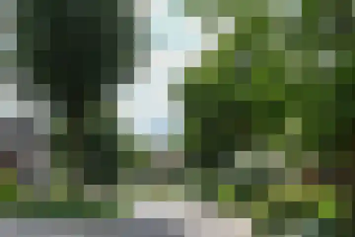 Prof. van Oijenstraat 15 Helden thumbnail 37